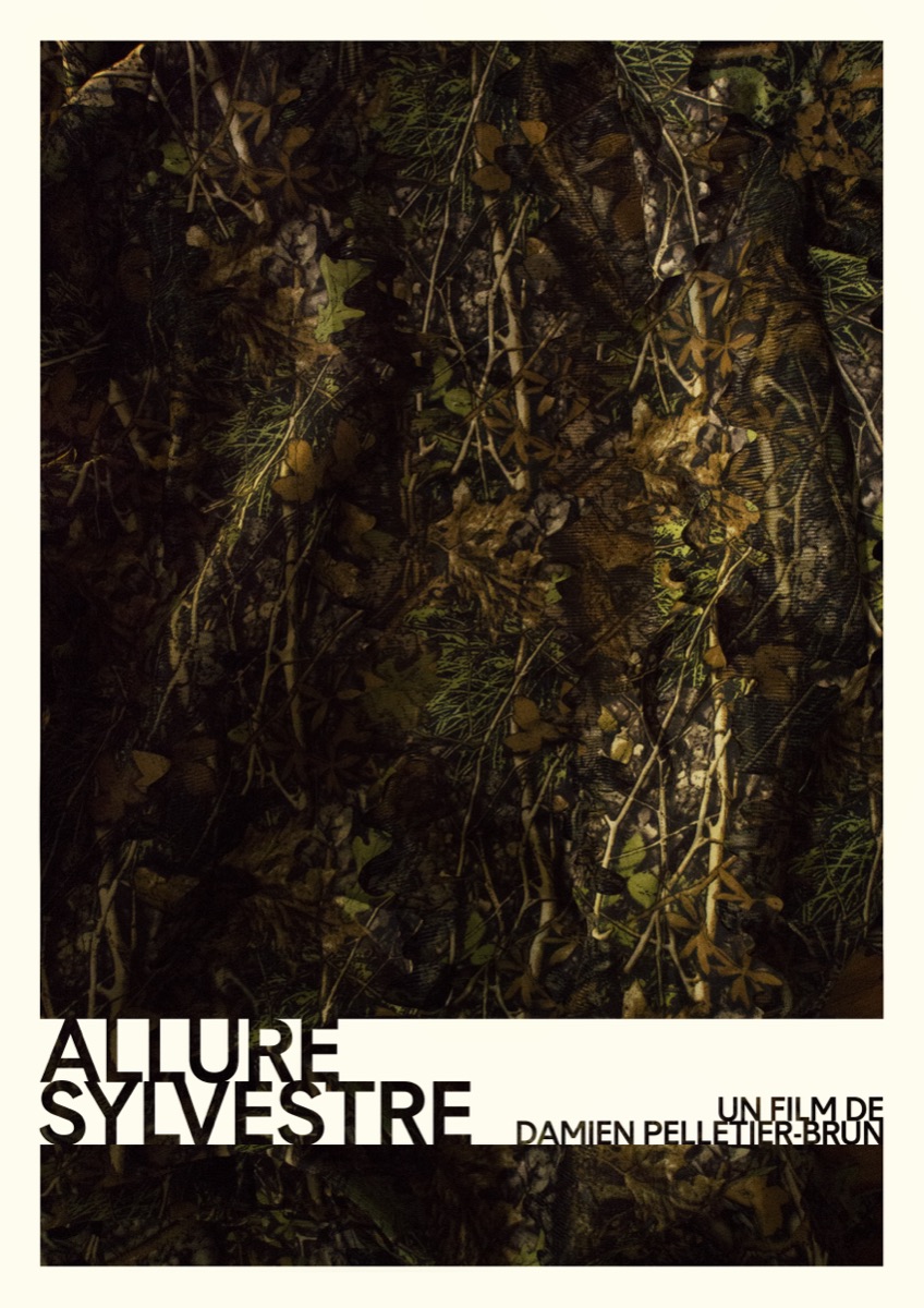 Allure Sylvestre — affiche du film